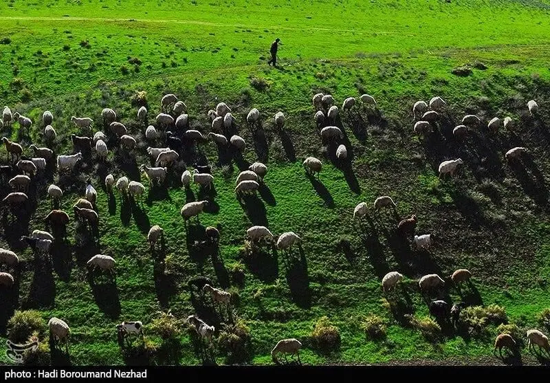 روز عشایر