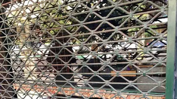 سرقت شبانه از نقره‌فروشی در خیابان ویلای تهران +عکس 