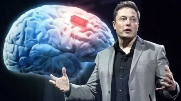 بارگذاری و آپلود اطلاعات روی مغز انسان !