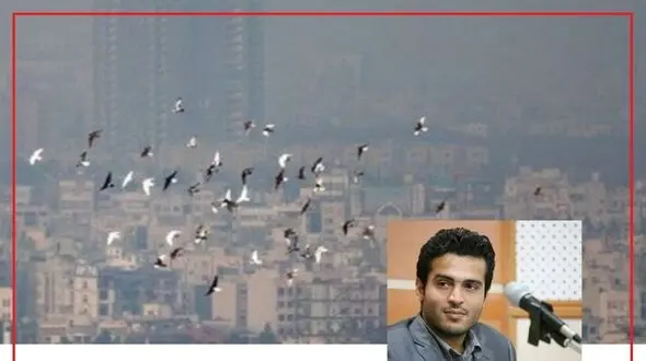 پمپ بنزین‌های پرندگان استان تهران در آستانه نابودی است/ عقاب صحرایی و بالابان تهران در خطر انقراض قرار دارد