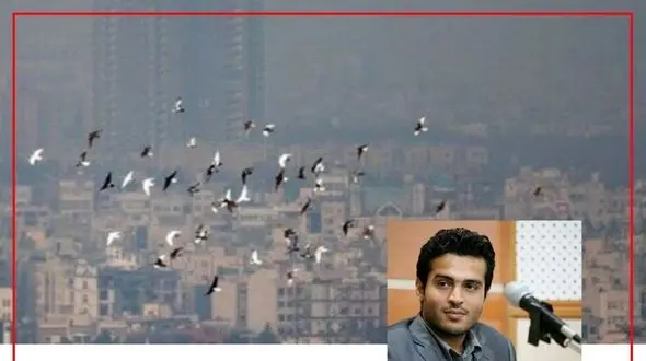 پمپ بنزین‌های پرندگان استان تهران در آستانه نابودی است/ عقاب صحرایی و بالابان تهران در خطر انقراض قرار دارد