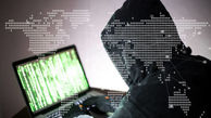 هکر 15 ساله میلیاردر در دام پلیس افتاد / او اطلاعات بانکی 1300 نفر را دزدید