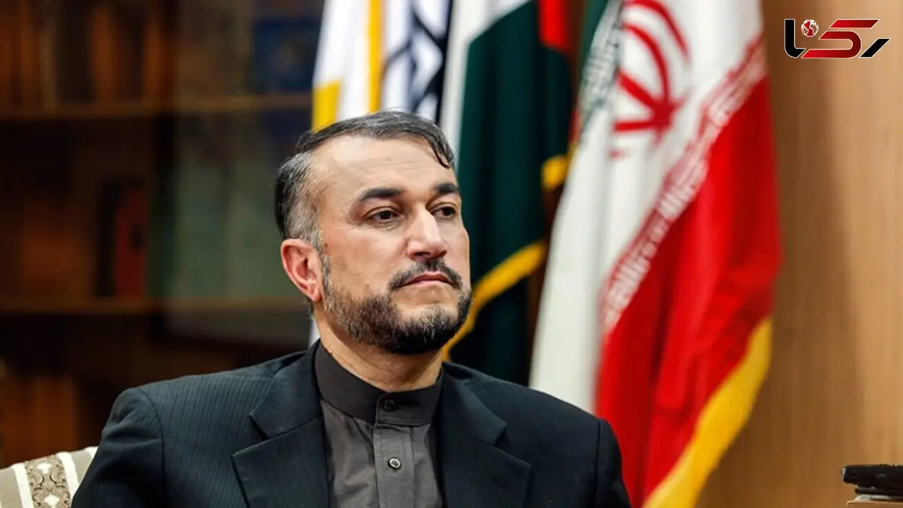 دستور رسیدگی به رفع مشکل ایرانیان خارج از کشور از سوی اژه ای+ فیلم