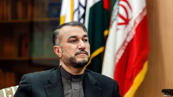 دستور رسیدگی به رفع مشکل ایرانیان خارج از کشور از سوی اژه ای+ فیلم