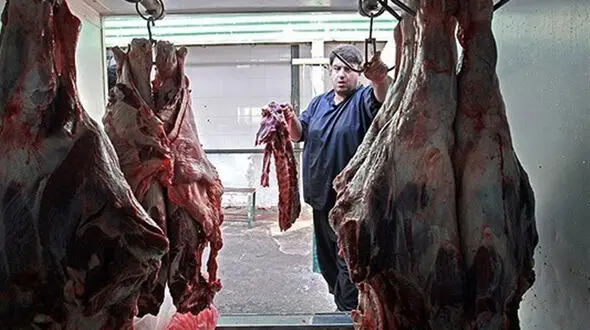 آرامش به بازار گوشت برگشت 