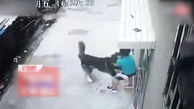 حمله سگ هاسکی به پسربچه ۶ ساله در خیابان + فیلم