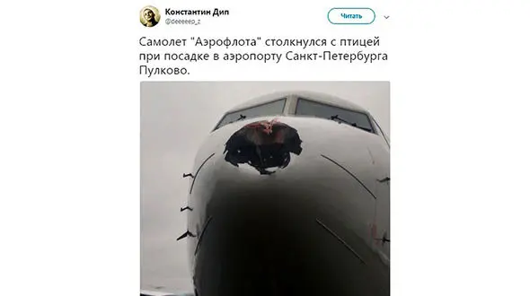  سوراخ شدن هواپیمای مسافربری در برخورد یک پرنده ! +عکس جالب