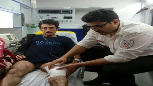 سگ های گله جان چوپان مازنی را از دست خرس وحشی نجات دادند+ تصاویر