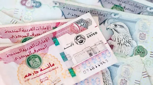قیمت درهم امروز یکشنبه 24 خرداد 1405