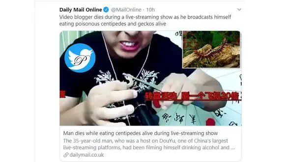 عاقبت مرگبار جذب فالوور / او در پخش زنده هزارپای سمی خورد و مرد + عکس