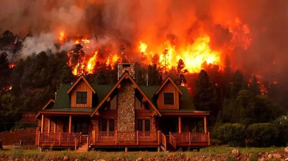 خانه چند سلبریتی هالیوودی در آتش سوخت 