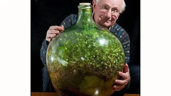 این گیاه بیش از 50 سال بدون آب زندگی می کند