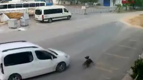 حرکت غیرانسانی و وحشیانه یک زن با خودروی شاسی بلند + فیلم و عکس