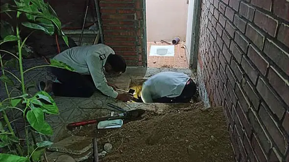 7 عکس از گربه ای که آتش نشانان تهرانی را به زحمت انداخت