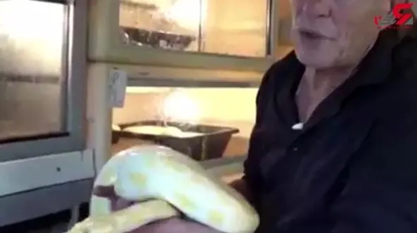 زندگی مرد فرانسوی میان مرگبارترین حیوانات جهان +تصویر