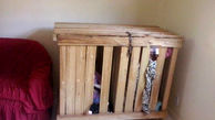 زندانی کردن پسربچه های 2 قلو در قفس چوبی توسط مادر و پدر بی رحم + عکس