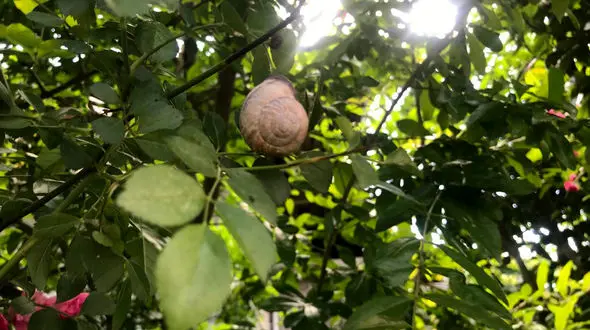 فال و طالع روزانه 28 اردیبهشت + فیلم 