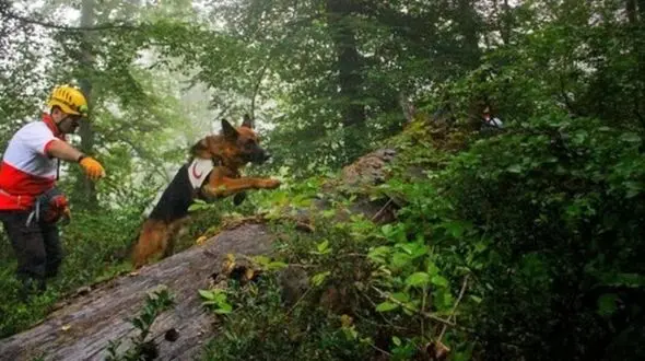 راز گمشدن جوان پارس آبادی / او نزدیک مرز ارس چه می کرد؟