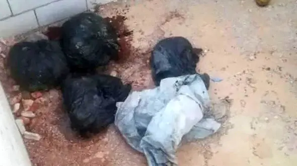 مرد بی رحم زن دومش را مقابل دو فرزندش تکه تکه کرد + عکس