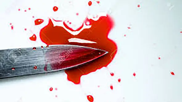 خانه مجردی دختری به نام آزاده  مرد 76 ساله را به قتلگاه کشاند! / وسوسه های زنانه کارساز شد!