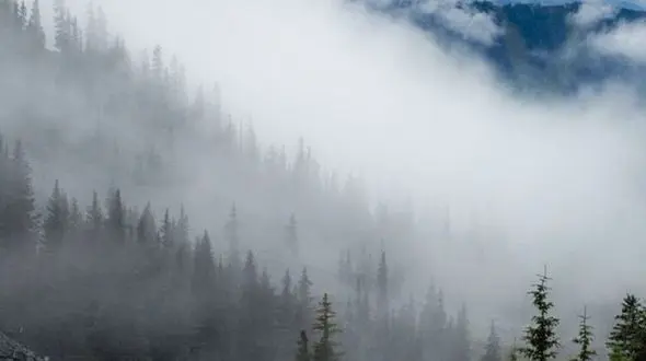 رهایی در آغوش لحظه‌ ها / آرامش در دل طبیعت