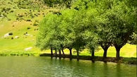 آبگیر قارقچال بالاده از جاذبه های گردشگری مازندران + فیلم