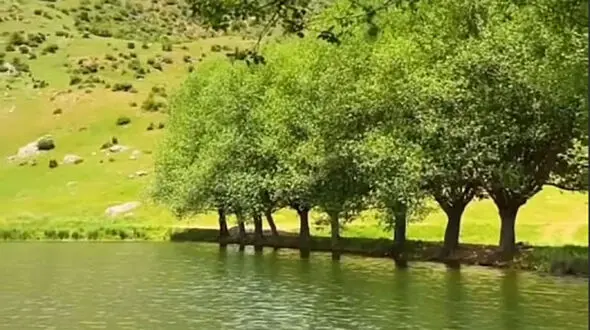 آبگیر قارقچال بالاده از جاذبه های گردشگری مازندران + فیلم