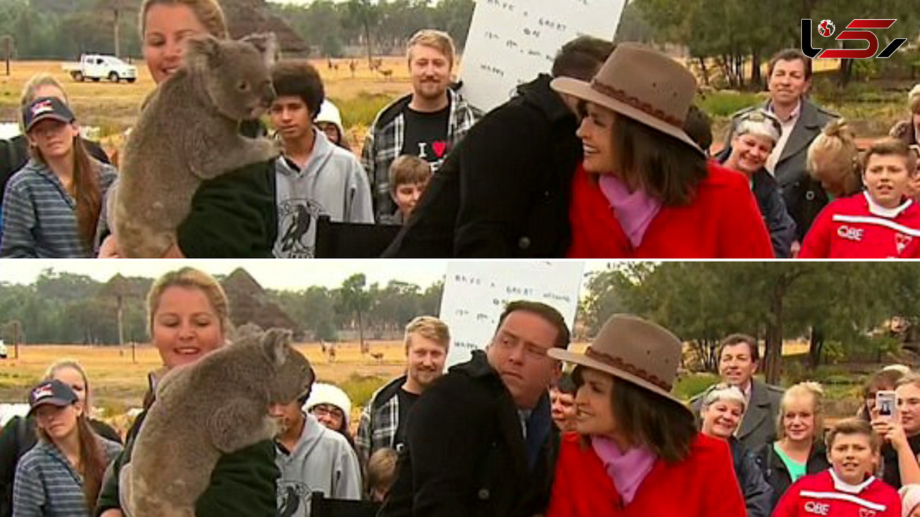 ترس مجری تلویزیون از محبوب ترین حیوان استرالیایی در پخش زنده+فیلم