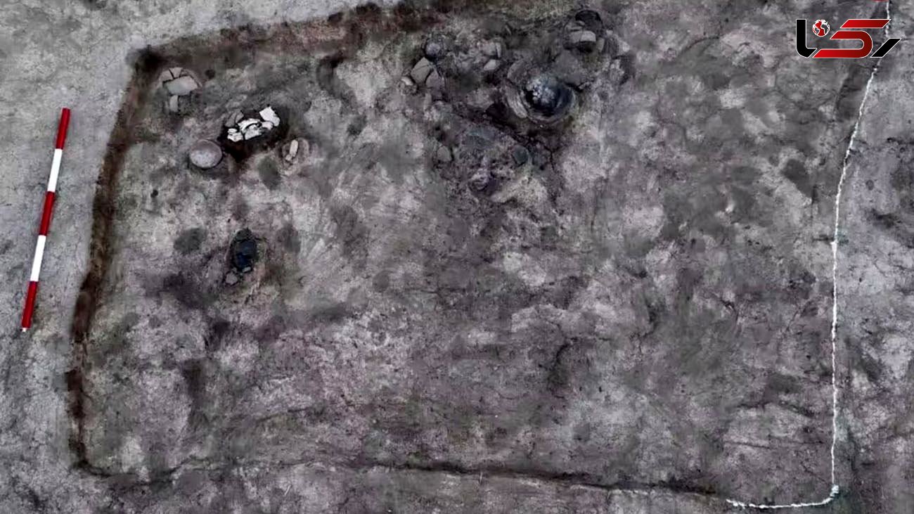 کشف اژد‌های صدفی 6 هزار ساله + عکس