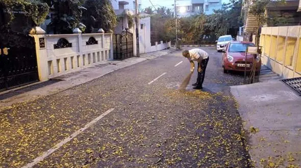 اقدام جنجالی وزیر آموزش هند در خیابان + عکس