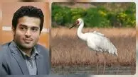فیلم / مرگ «رویا»؛ کالبدشکافی یک شکست در حفاظت از حیات‌ وحش ایران/  هشدار برای یوز، میش‌مرغ ،خرس بلوچی، اردک سرسفید و مرمری