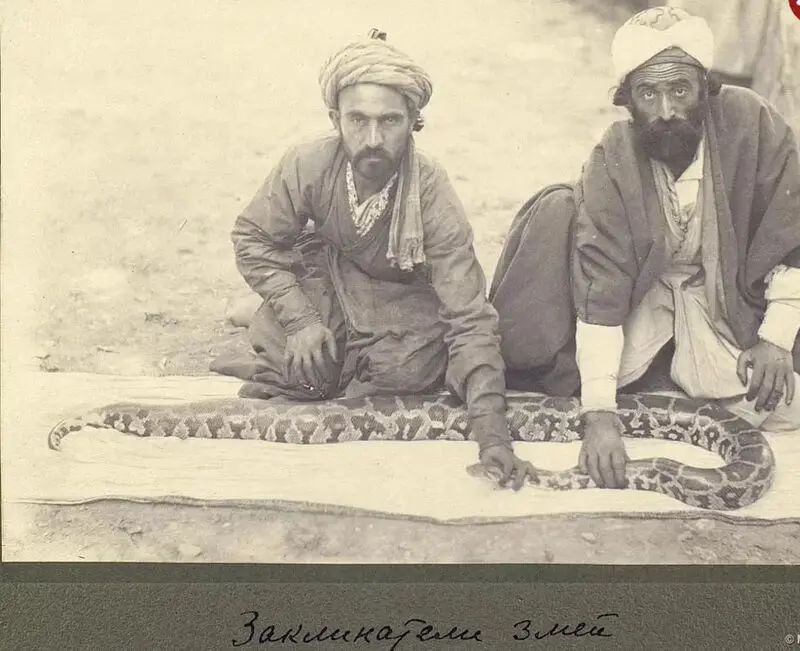 مارگیر
