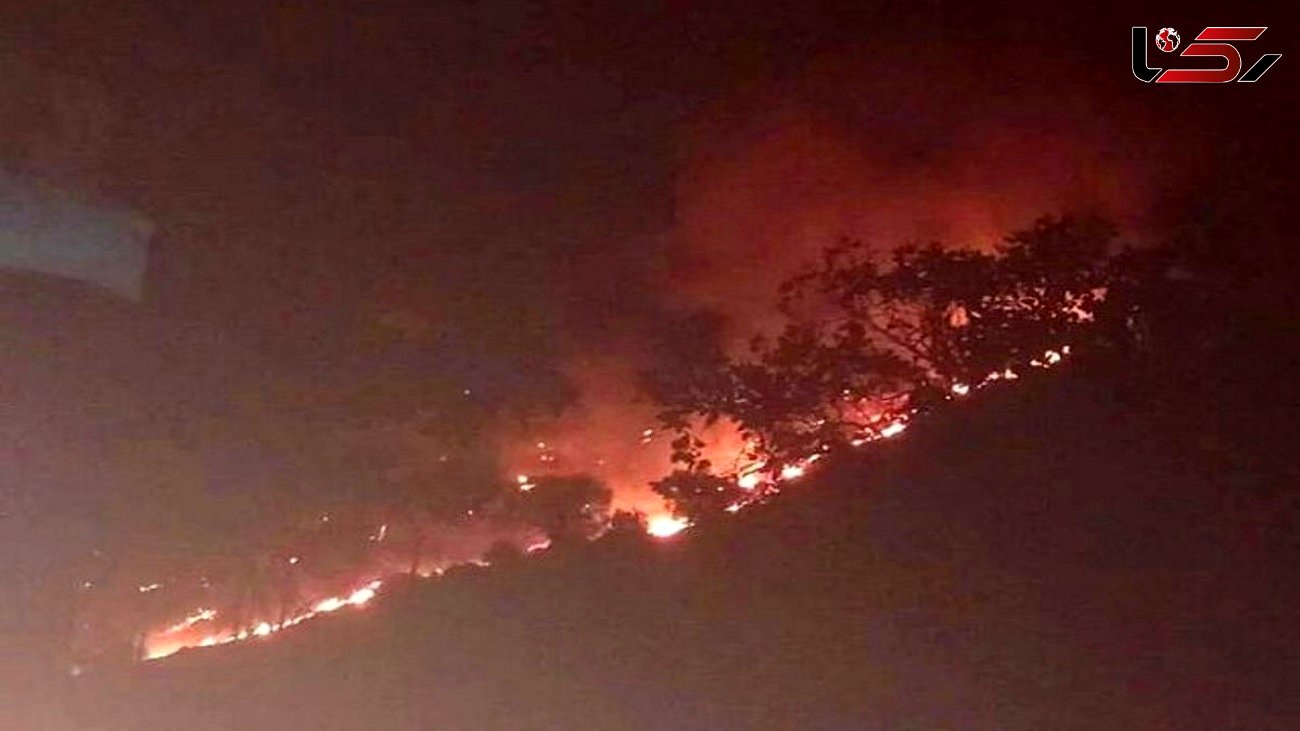 تداوم آتش سوزی گسترده در منطقه حفاظت شده خائیز / نیروی انسانی مهمترین نیاز محیط زیست