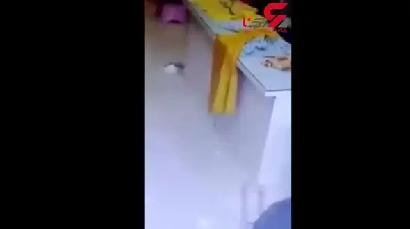 نبرد وحشیانه گاو‌ها در خیابان + فیلم