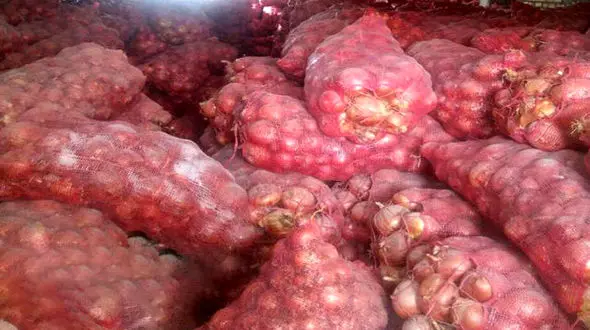 چرا پیاز گران شد ؟