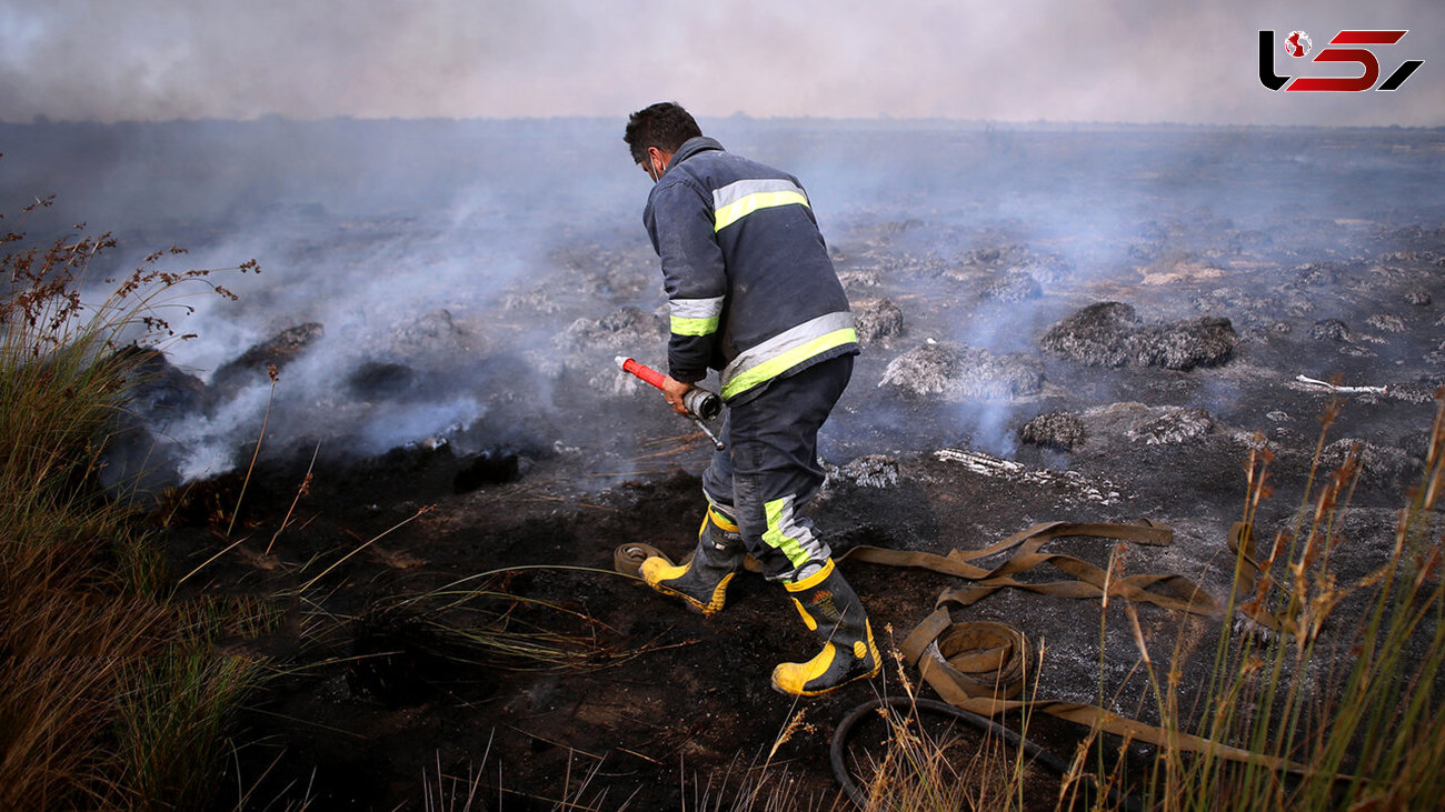 ۳۴۰ هکتار پوشش گیاهی و جنگلی میانکاله در آتش سوخت