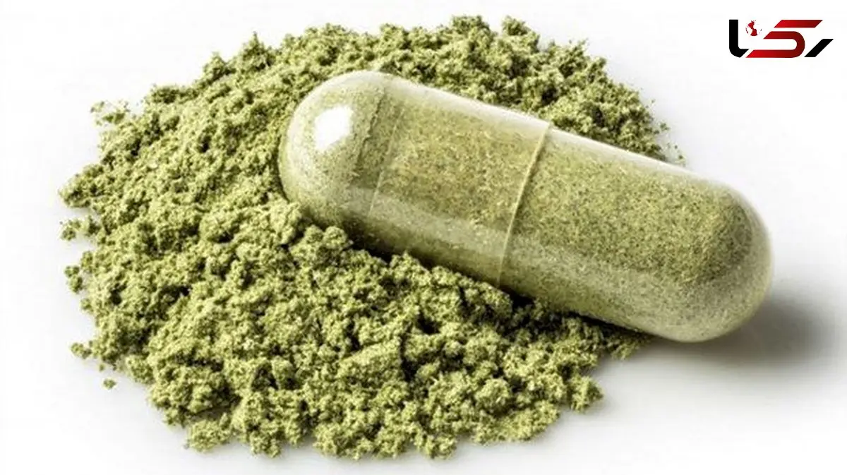 «گُل»؛ مخدری با اثرات مخرب‌تر از تمامی مواد دیگر در ایران