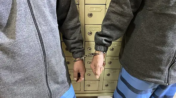 غافلگیری 2 سرشاخه اصلی پخش مواد ممنوعه در خراسان شمالی