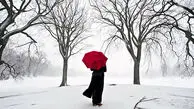 دوستی اجباری زن متاهل با مردی فریبکار /  6 سال ازش می ترسیدم چاره ای جز پناه آوردن به کلانتری نداشتم + نظر کارشناسی