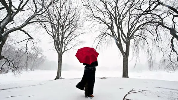 نمی خواهم سرنوشت رومینا اشرفی را داشته باشم / نامه دختر فراری به پلیس تهران