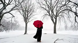 دوستی اجباری زن متاهل با مردی فریبکار /  6 سال ازش می ترسیدم چاره ای جز پناه آوردن به کلانتری نداشتم + نظر کارشناسی