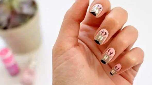 طرح های زیبای ناخن، مخصوص تینیجرها