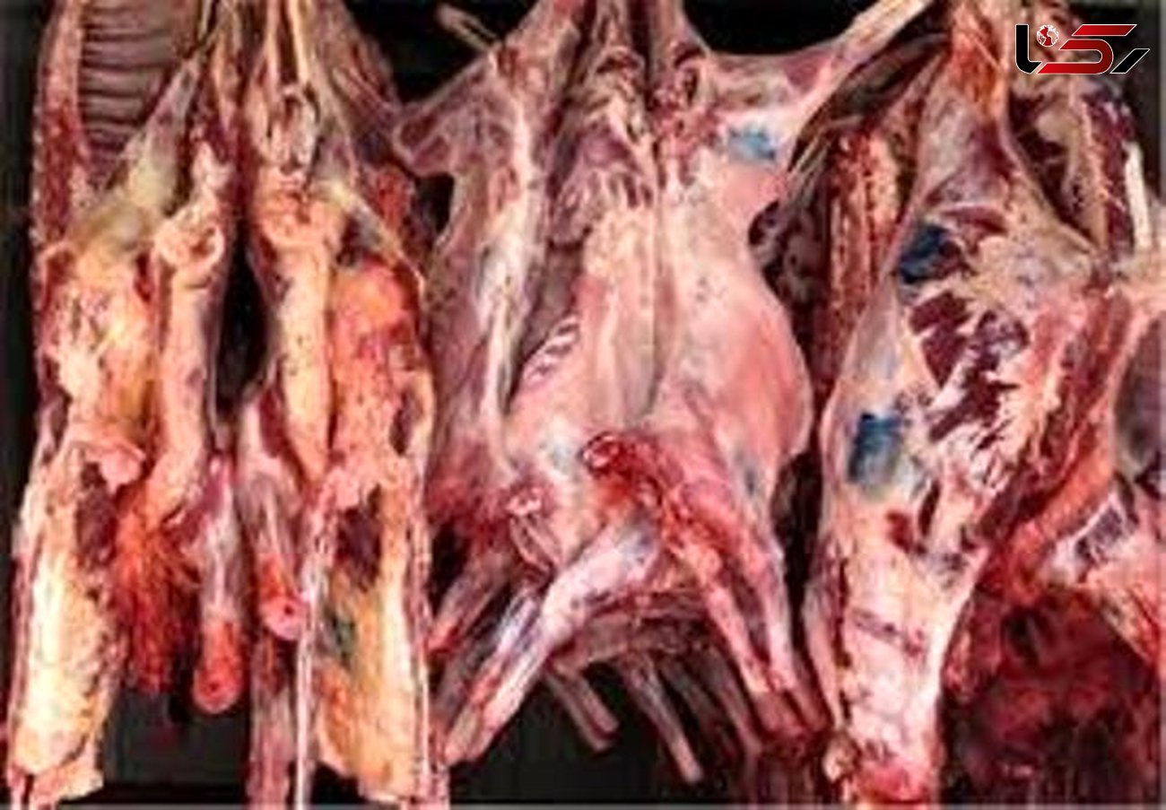افزایش مجدد قیمت گوشت گوسفندی/گوشت گوساله هم گران شد