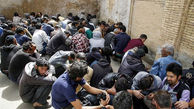 پاکسازی دره فرحزاد/ دستگیری 150 نفر در 7 پاتوق خطرناک