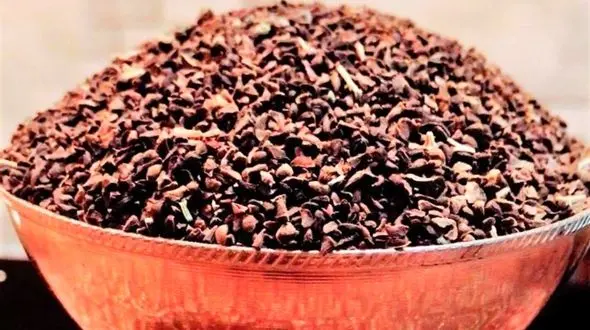 گیاهی مخصوص مبتلایان به صرع/10نکته سلامت را فراموش نکنید