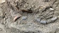 کشف نخستین «رد پای مهر مادری» در غار هوتو