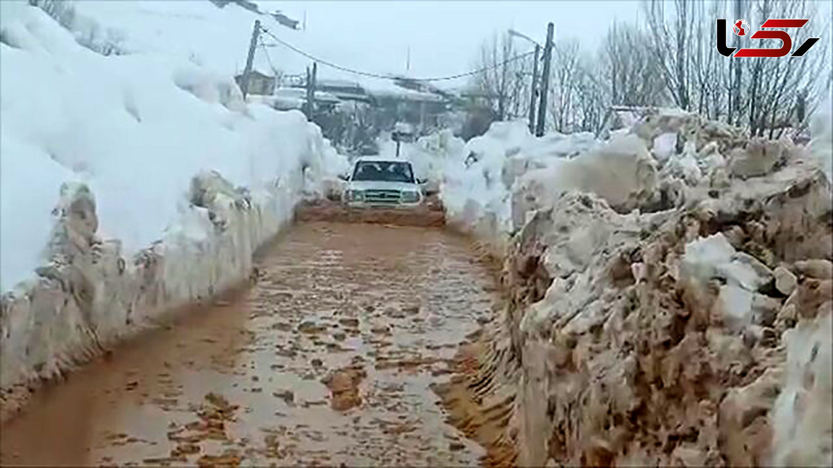 انتقال هوایی بسته های غذایی و امدادی به مناطق محاصره در برف چهارمحال و بختیاری