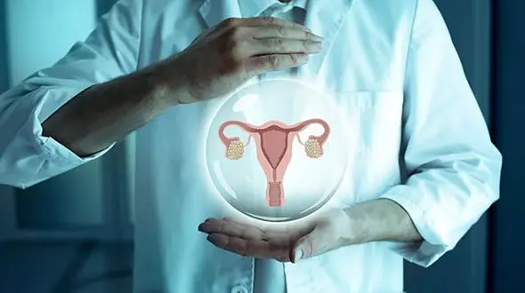 لابیا چیست؟ + جدول تحلیلی لابیاها و مشکلات مرتبط با آنها