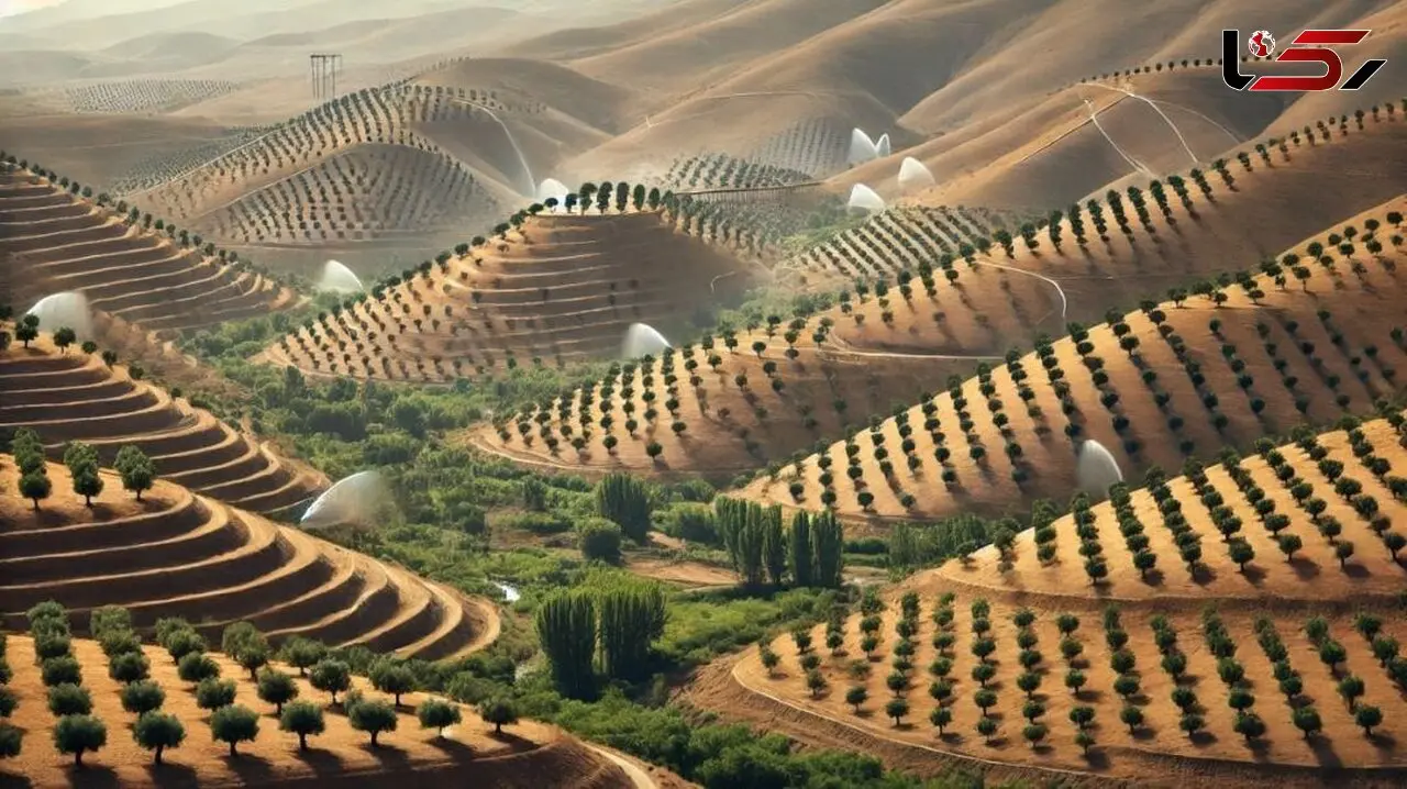 لزوم اصلاح الگوی کشت و حذف گیاهان آب‌بر / کشت درختان زیتون به جای دانه های روغنی در دستور قرار بگیرد 
