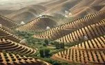 لزوم اصلاح الگوی کشت و حذف گیاهان آب‌بر / کشت درختان زیتون به جای دانه های روغنی در دستور قرار بگیرد 
